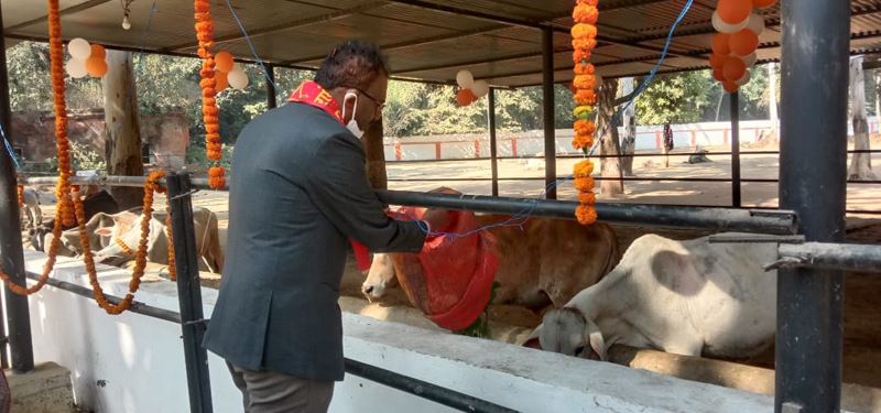 Gopashtami Program/गोपाष्टमी कार्यक्रम