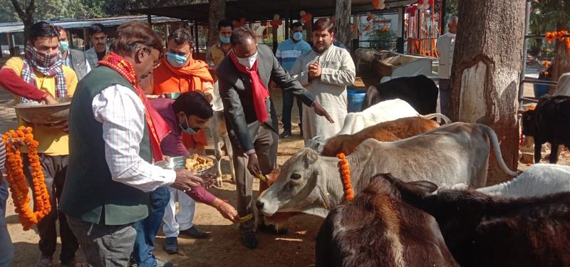 Gopashtami Program/गोपाष्टमी कार्यक्रम