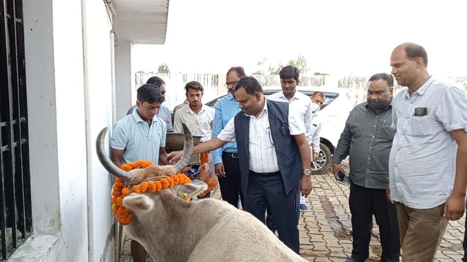 Inspection of Kanha Gaushala, Maghai Tola done by the Divisional Commissioner, Shri R. Ramesh Kumar./मण्डलायुक्त महोदय श्री आर0 रमेश कुमार जी द्वारा नगर क्षेत्र के मघई टोला स्थित कान्हा गौशाला का किया गया निरीक्षण