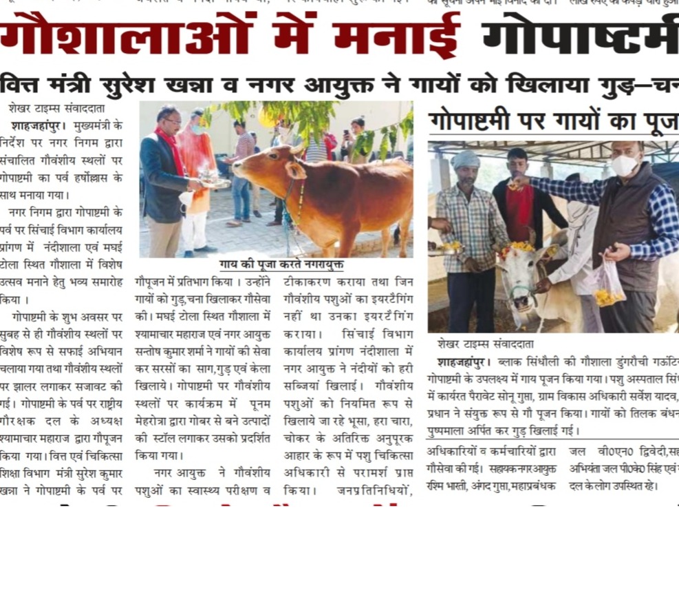 Gaupashtami celebrated in cowsheds