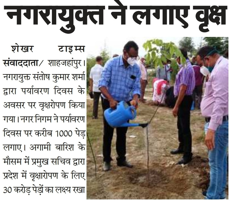 Municipal Commissioner planted trees on the World Environment Day.